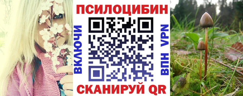 Псилоцибиновые грибы Psilocybine cubensis  Купить  Симферополь 